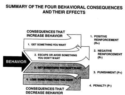 behavioral summary resized 600