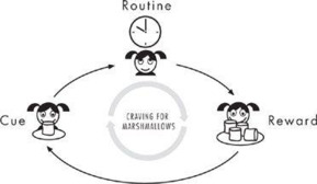Habits for delay cravings (Marshmallow) resized 600