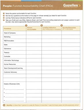 PEOPLE-FACeFunctionAccountabilityChartIP-resized-600