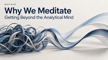 Next Blog - Why We Meditate — Going Beyond the Analytical Mind 10-12-26